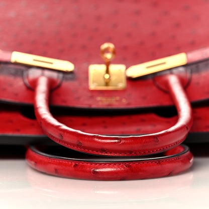 Hermes Ostrich Horseshoe Birkin 30 Rouge Vif Bleu Glacier 13 of 34