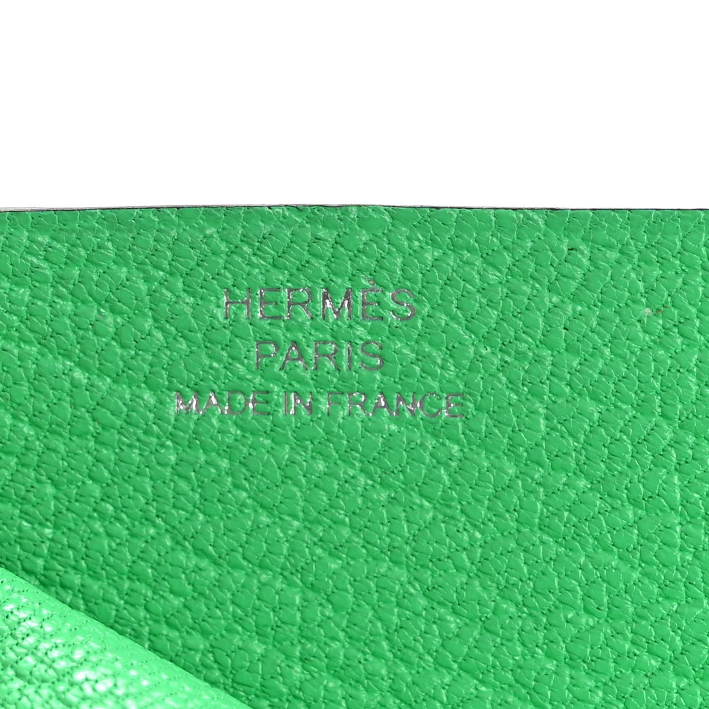 Chevre Mysore Sellier Card Holder Vert Comics Vert Fizz