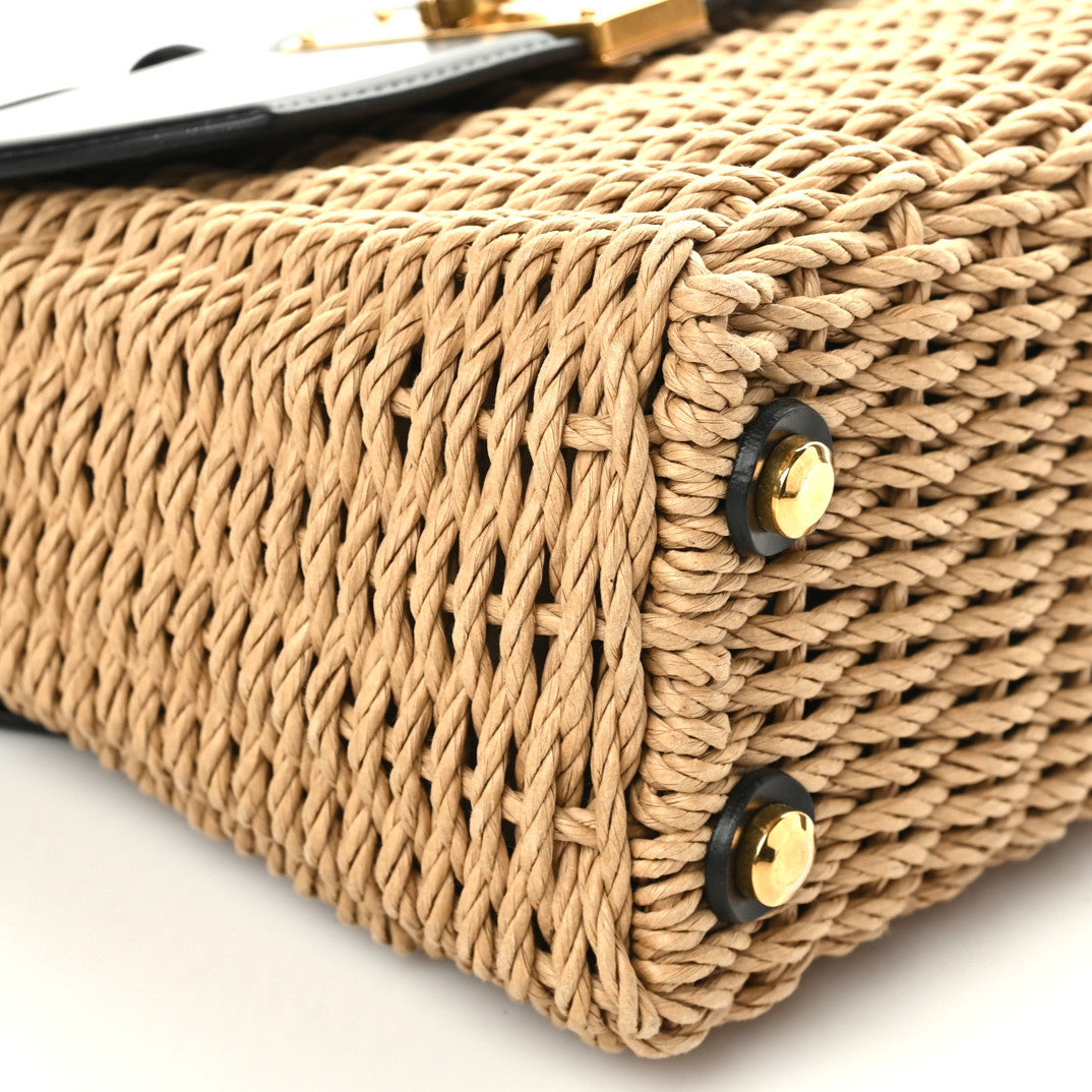 Smooth Calfskin Wicker Small Boxyz Black