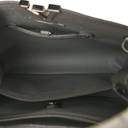 Louis Vuitton Ostrich Capucines BB Gris 5 of 9