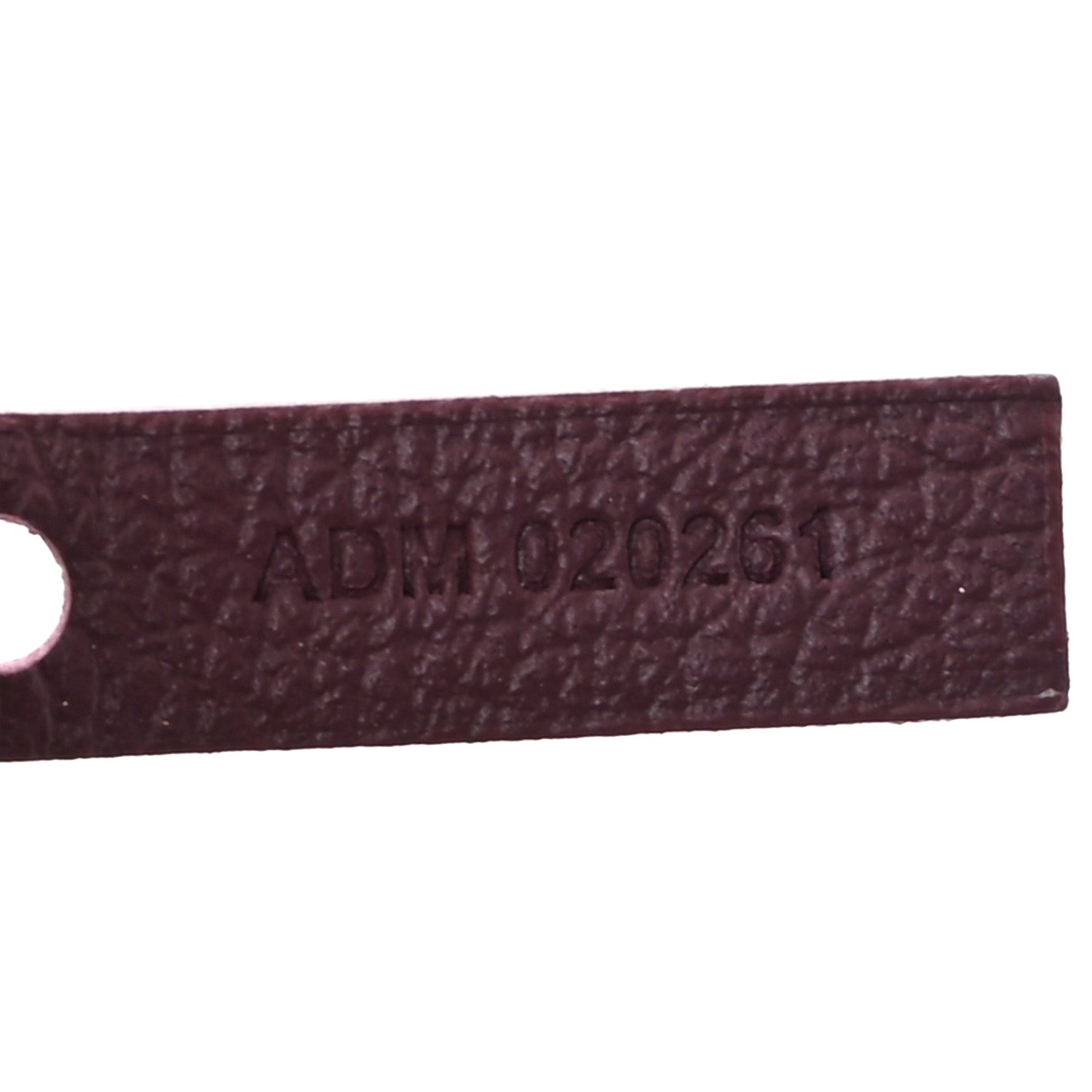 Goyard Goyardine Saint Louis PM Bordeaux 8 of 11