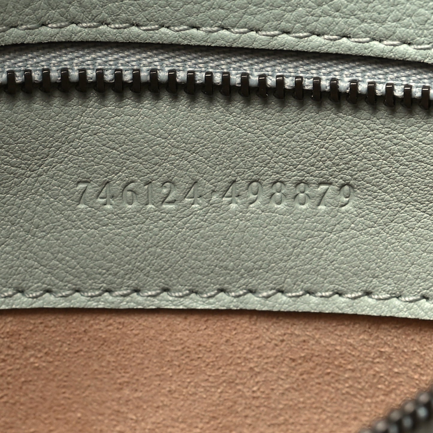 Softy Wonka Textured Dollar Calfskin Medium Diana Shoulder Bag Salvy Green