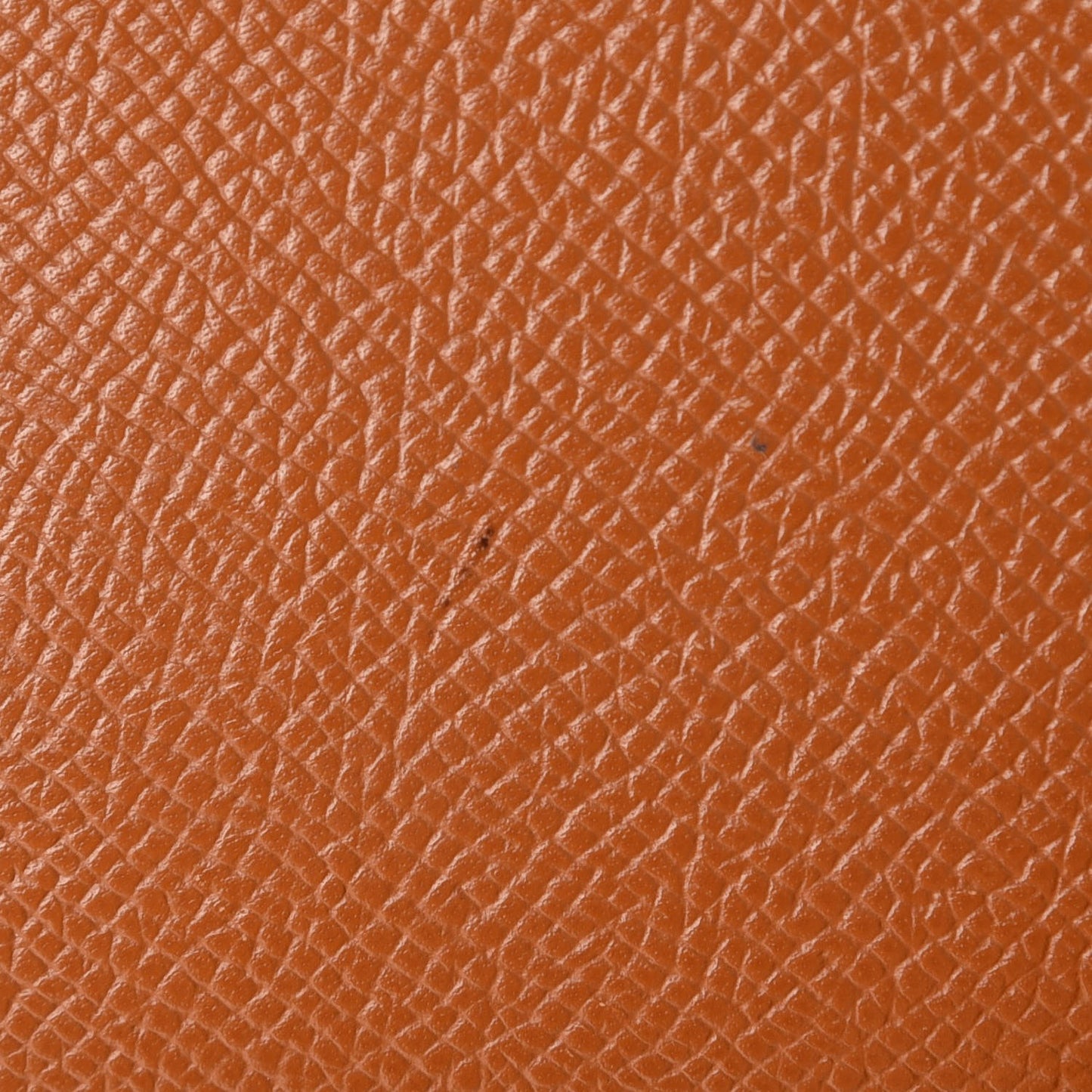 Epsom Silk'In Wallet Gold