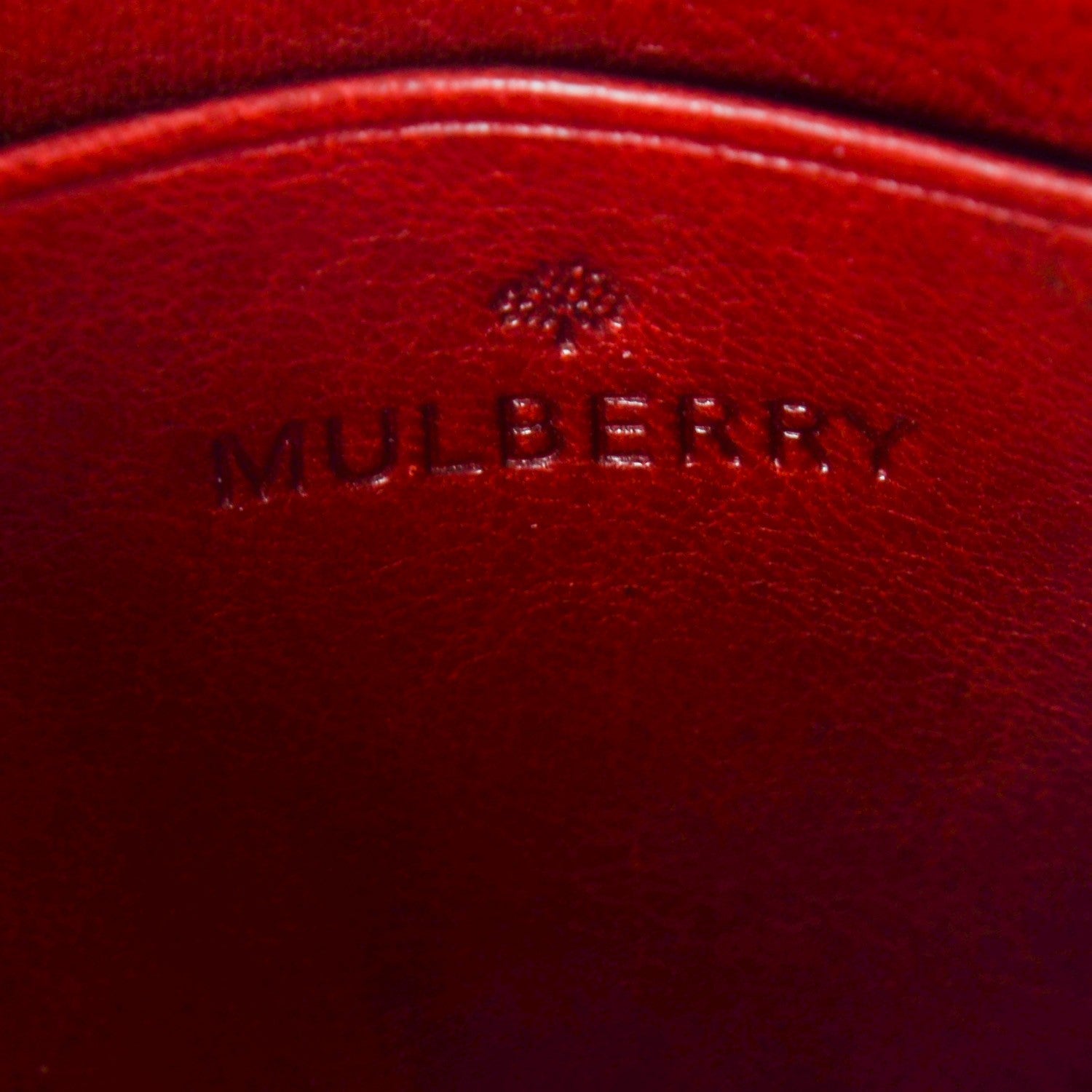 Mulberry Natural Leather Mini Lily Poppy Red 7 of 8
