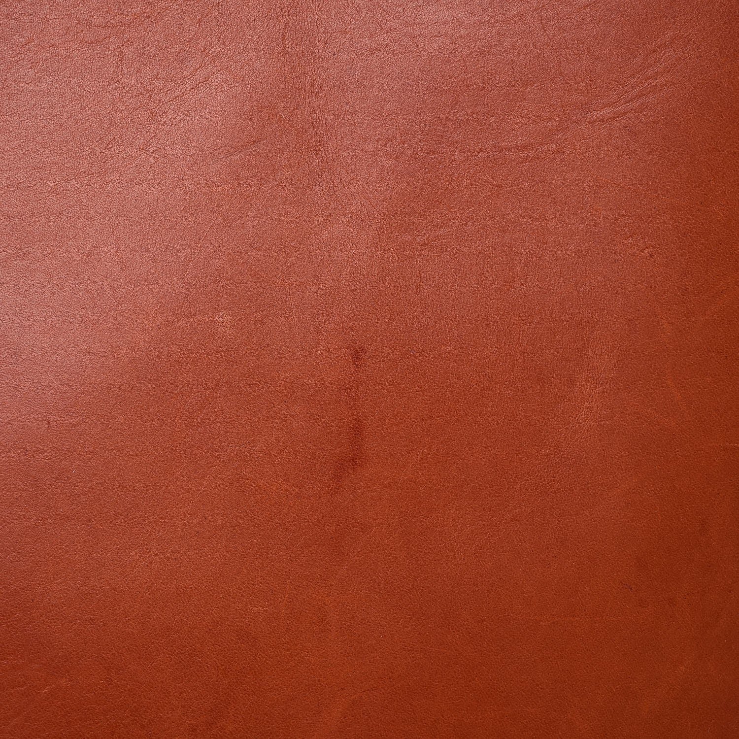 Mansur Gavriel Calfskin Large Shopping Tote Brandy Avion 14 of 14