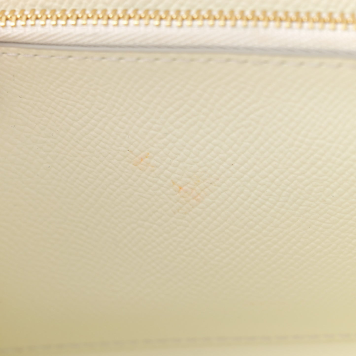 Dauphine Rose Print Wallet On Chain Pink