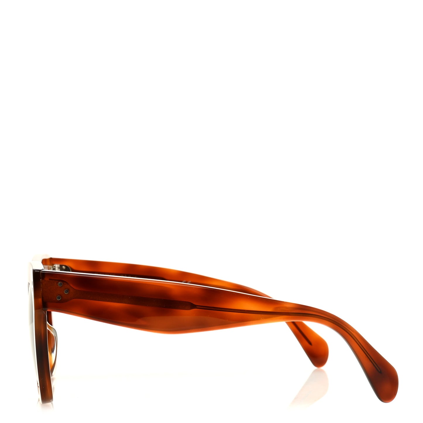 Acetate Sunglasses CL4004IN  Havana