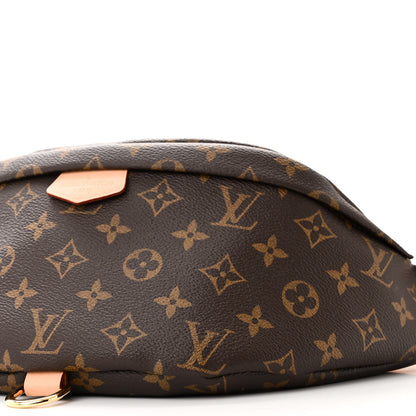 Louis Vuitton LOUIS VUITTON Monogram Bumbag 9 of 10