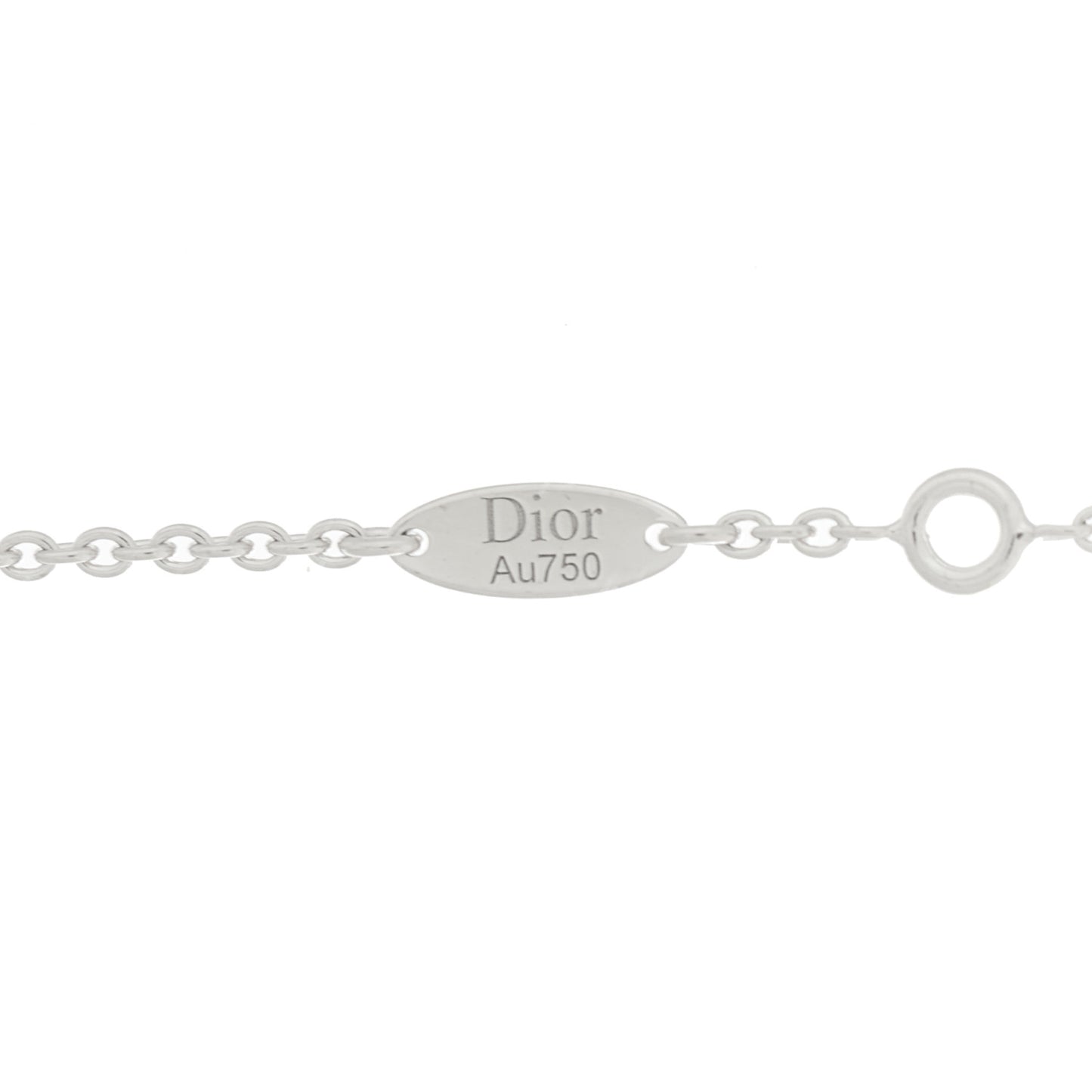 18K White Gold Diamond Rose Des Vents Pave Necklace
