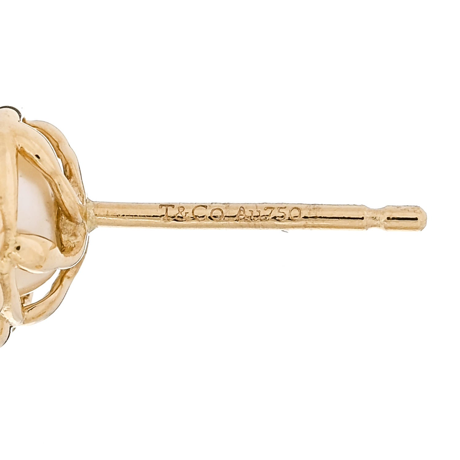 Tiffany 18K Yellow Gold Pearl Paloma Picasso Olive Leaf Earrings 4 of 4