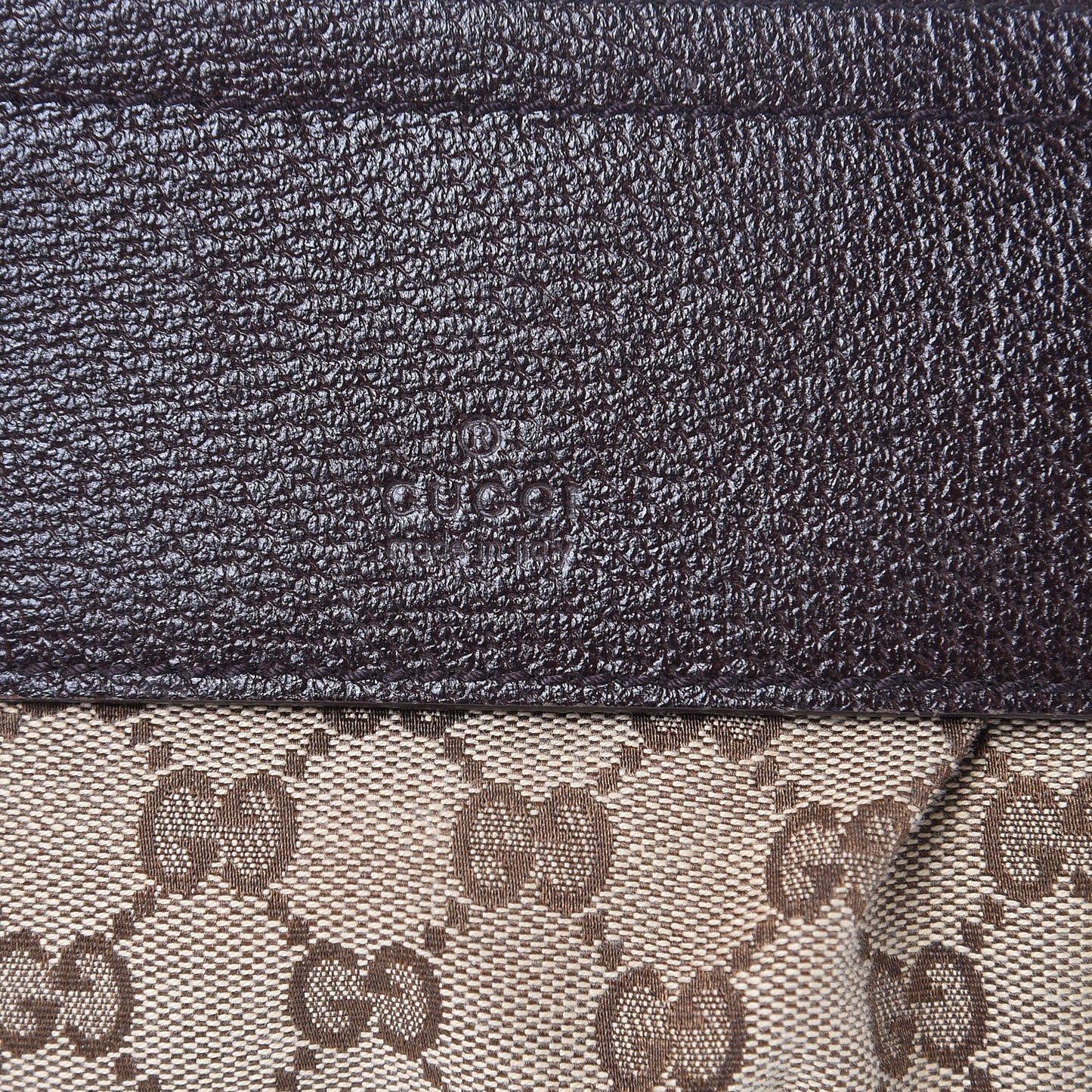 Monogram Web Belt Bag Dark Brown