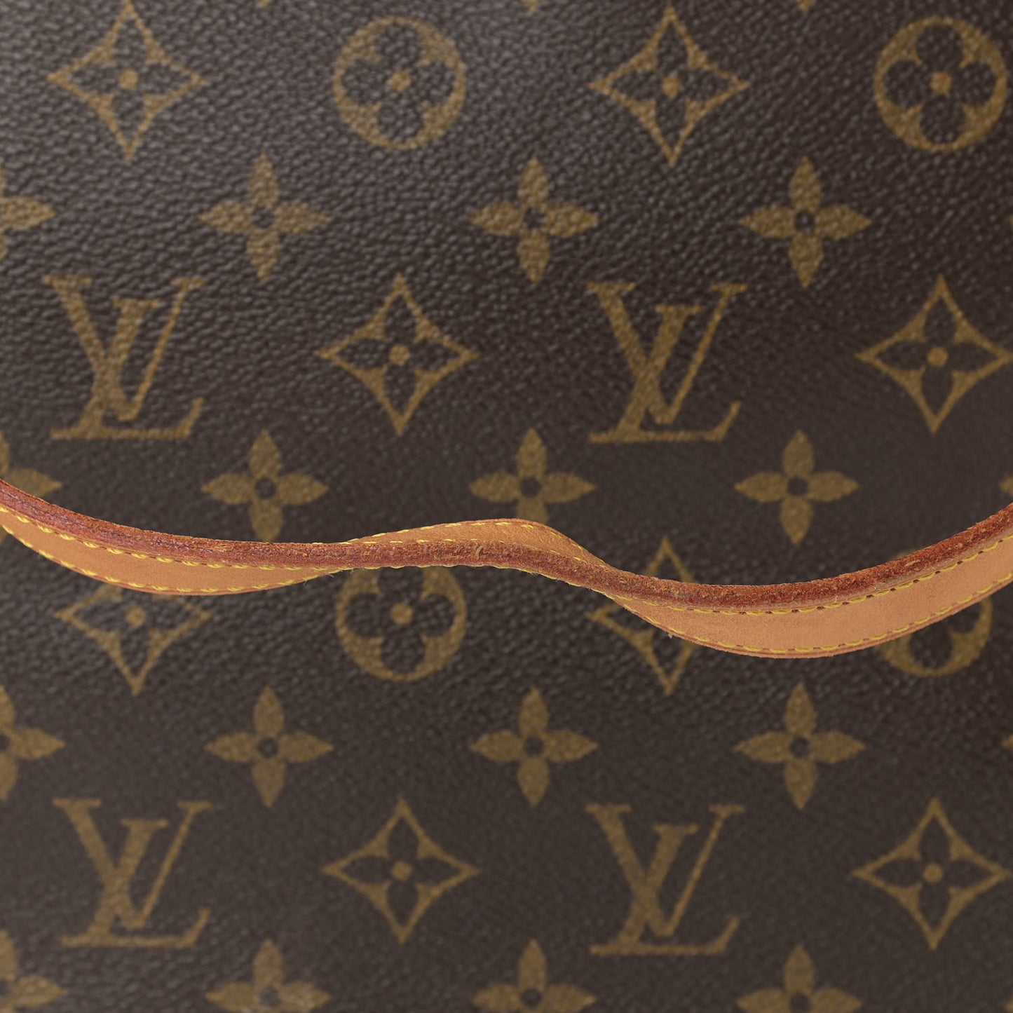 Monogram Cabas Mezzo