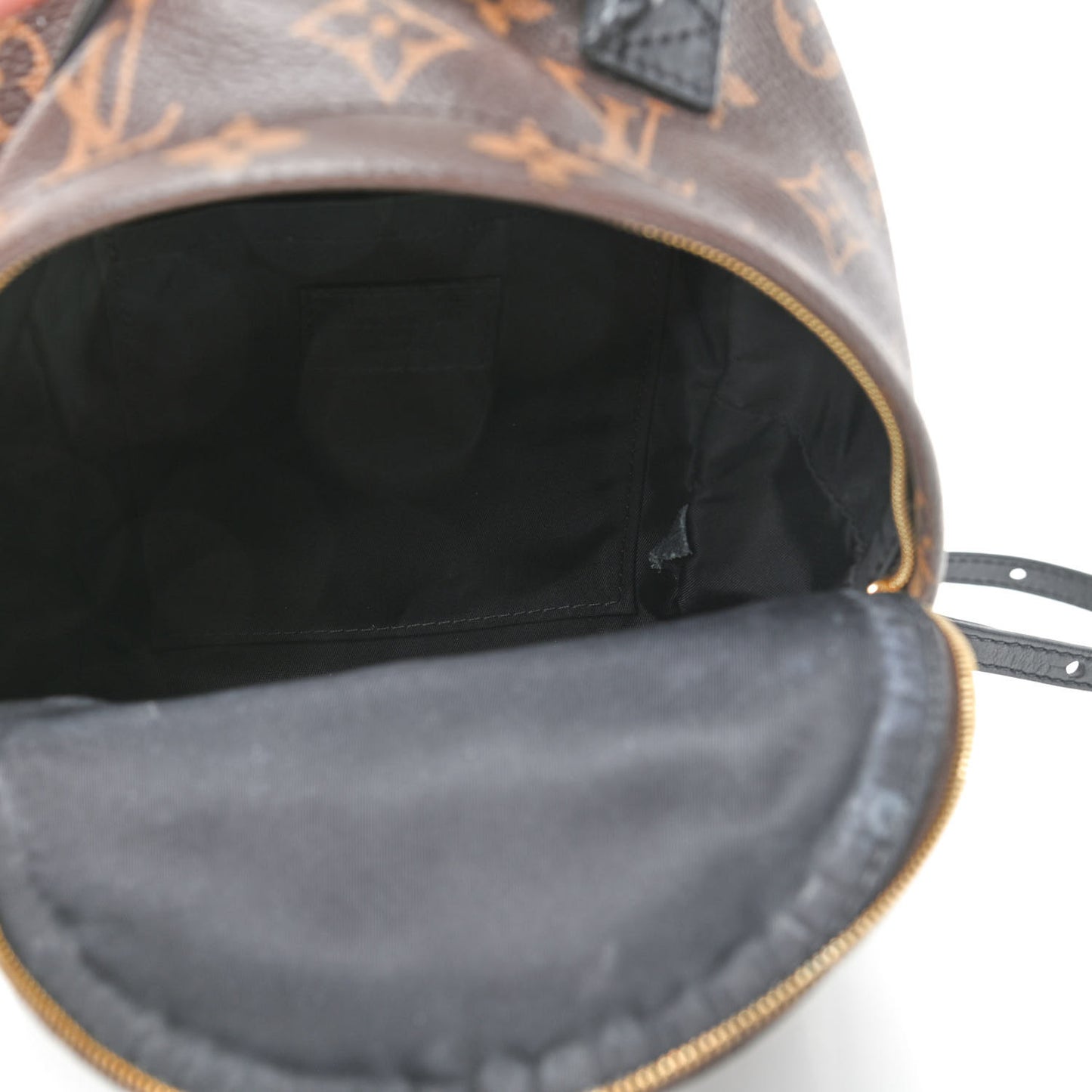 Monogram Palm Springs Backpack Mini
