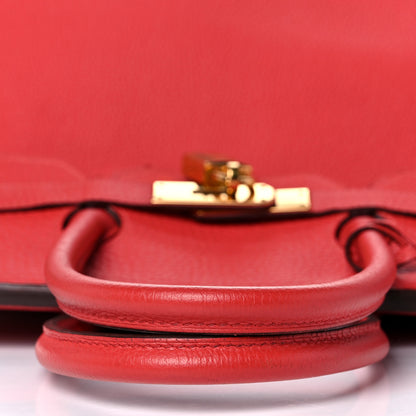 Hermes Togo Birkin 35 Rouge Pivoine 12 of 52