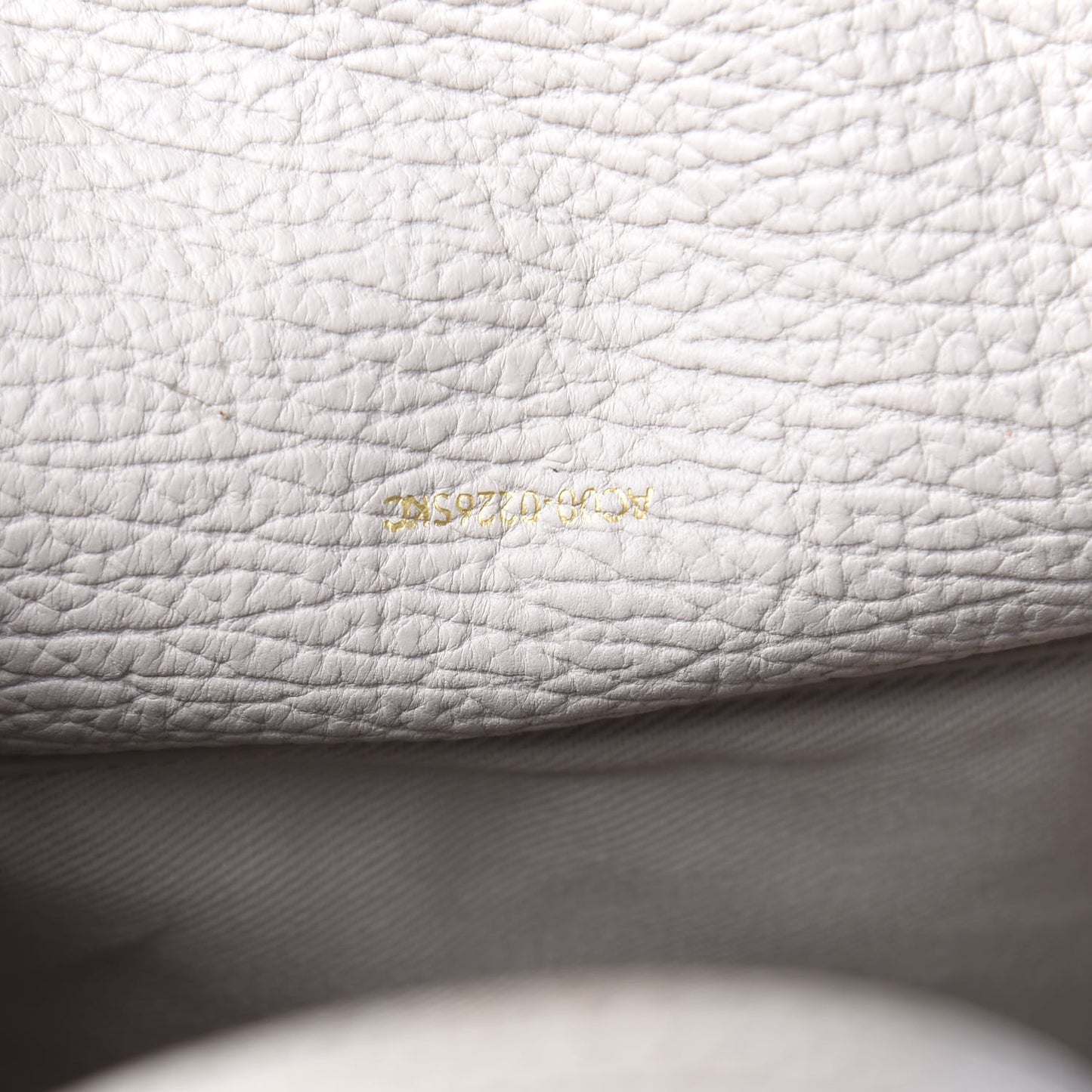 3.1 Textured Calfskin Mini Pashli Satchel Feather