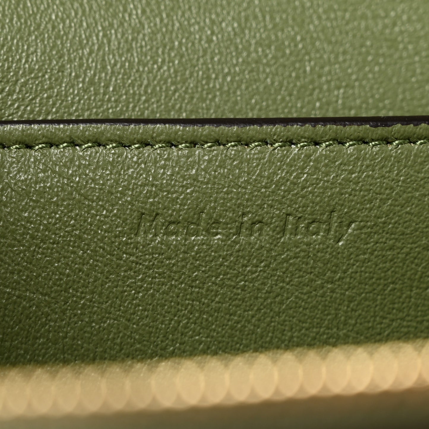 Shiny Smooth Calfskin Medium Frame Shoulder Bag Olive Pastel Green