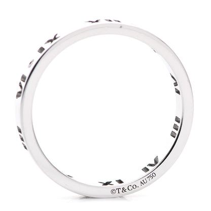 Tiffany 18K White Gold Diamond Atlas Pierced Ring 54 6.75 4 of 4