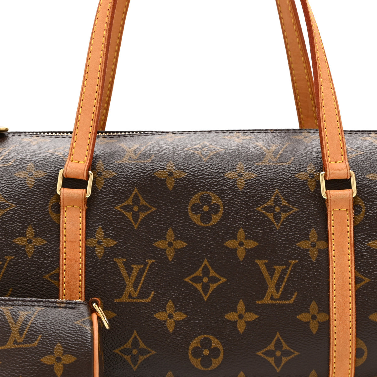 Monogram Papillon 30 with Companion