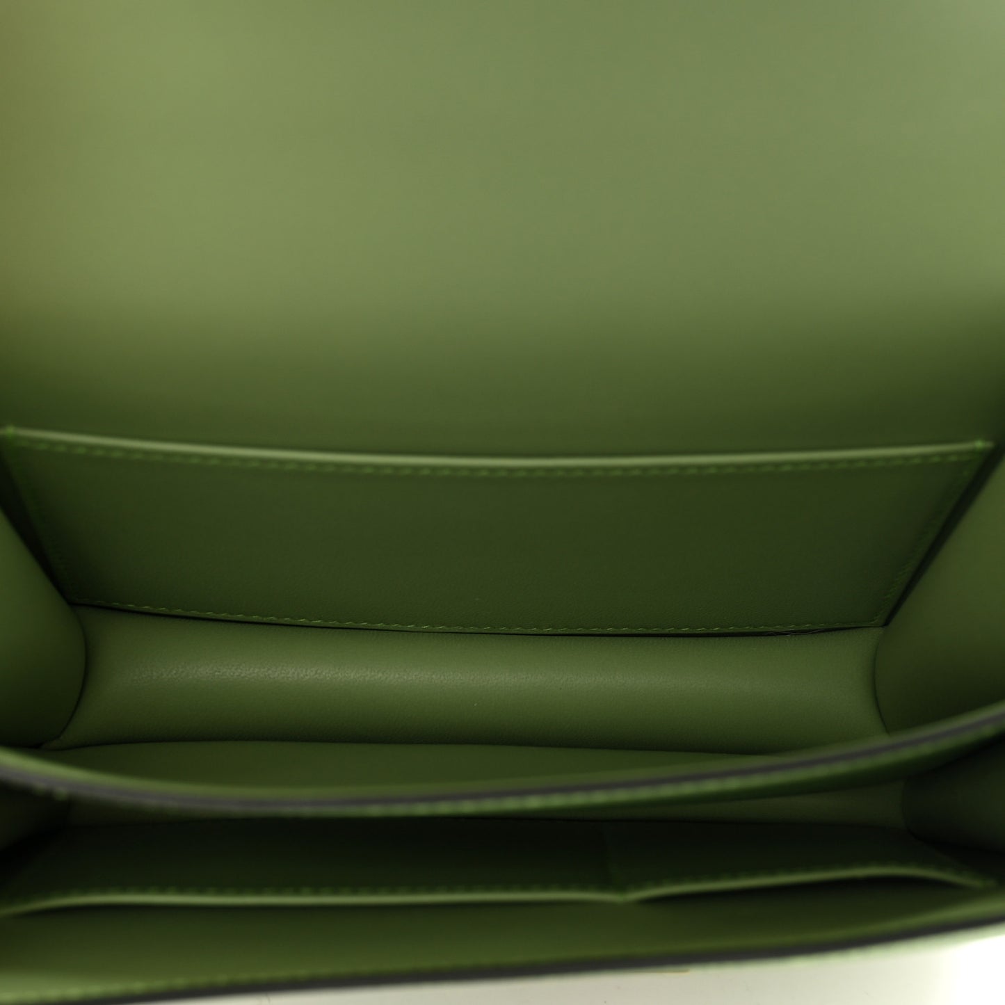 Epsom Shiny Alligator Lizard Constance 18 Vert Criquet Cactus Beige Sable Ombre