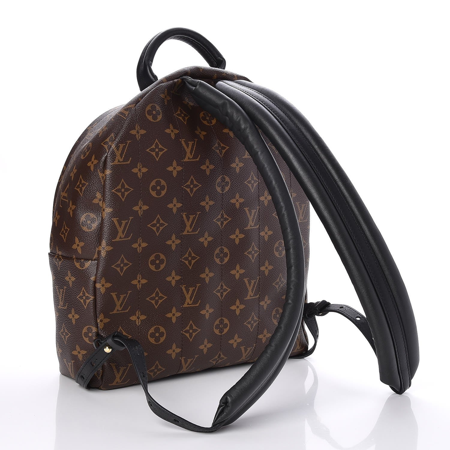 Louis Vuitton Monogram Palm Springs Backpack MM 3 of 8