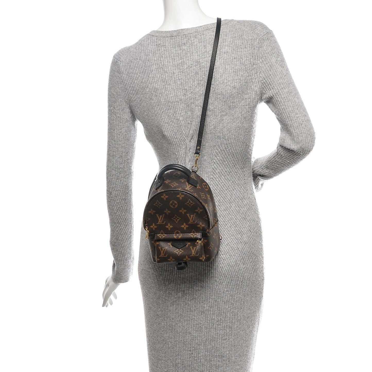 Monogram Palm Springs Backpack Mini