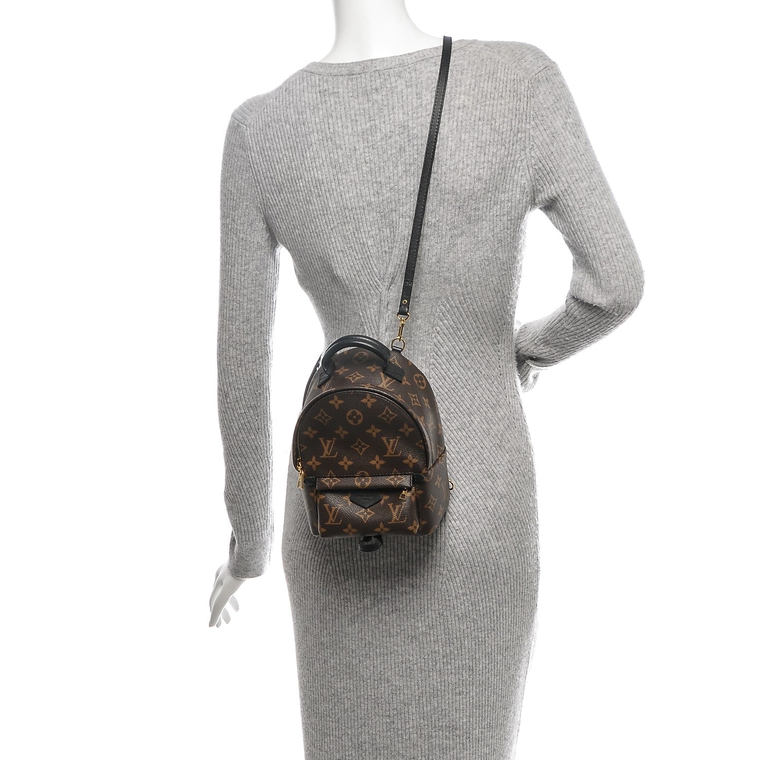 Louis Vuitton Monogram Palm Springs Backpack Mini 2 of 6
