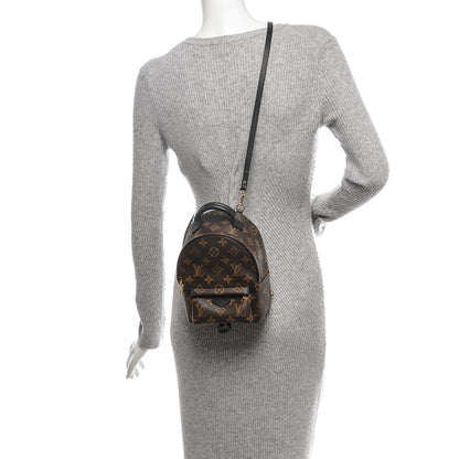 Louis Vuitton Monogram Palm Springs Backpack Mini 2 of 6