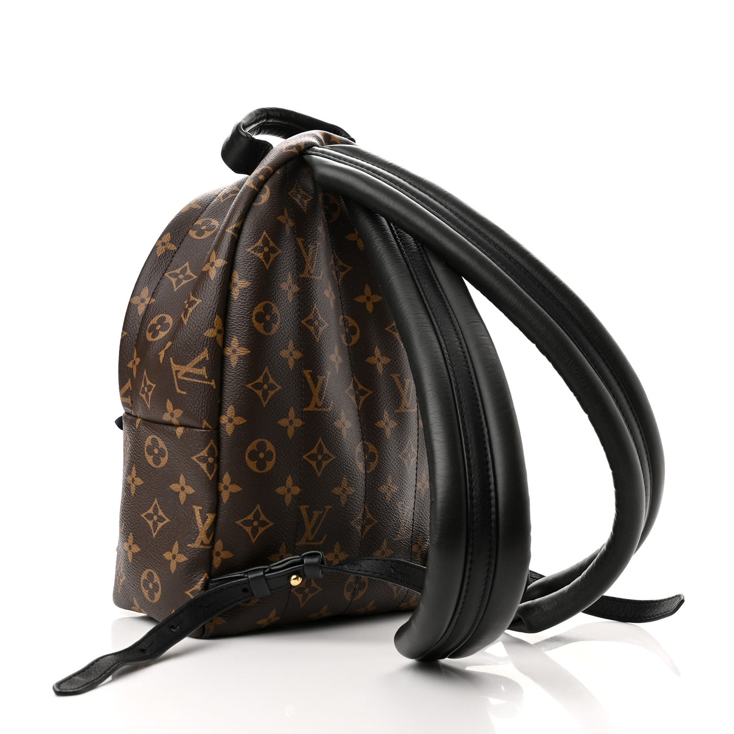 Monogram Palm Springs Backpack PM