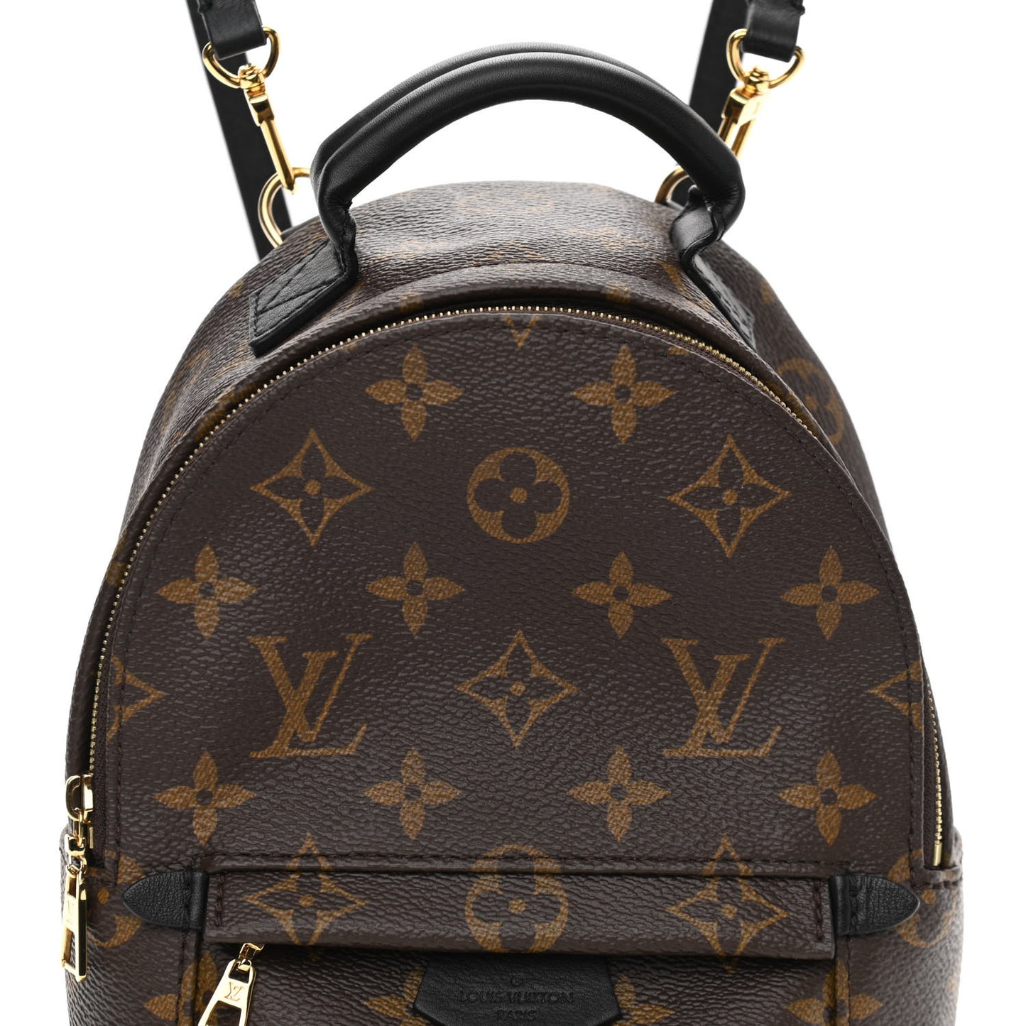 Monogram Palm Springs Backpack Mini