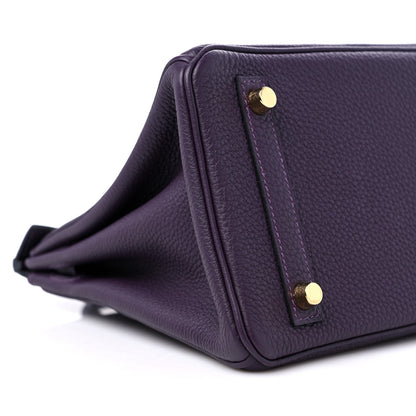 Hermes Togo Birkin 25 Raisin 8 of 10