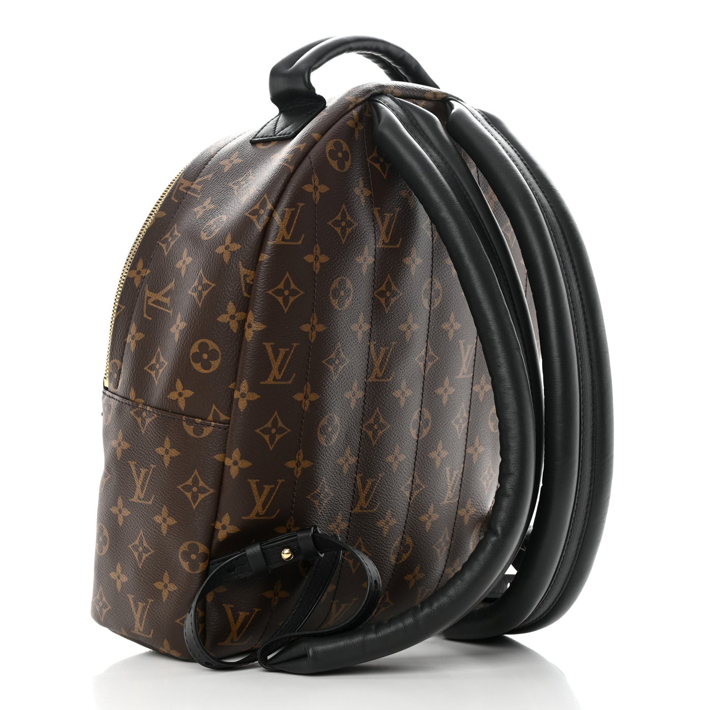 Monogram Palm Springs Backpack MM