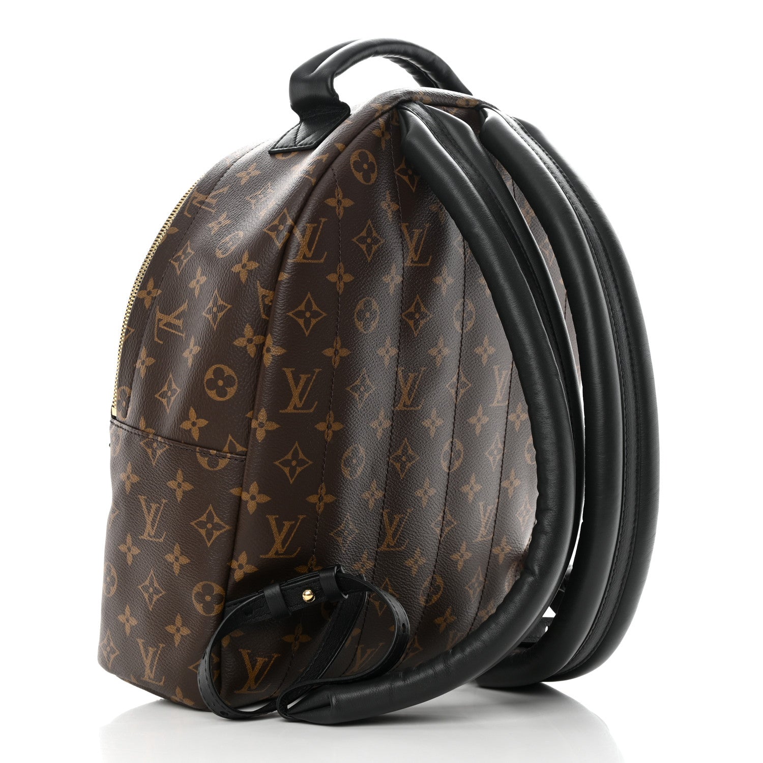 Louis Vuitton Monogram Palm Springs Backpack MM 3 of 11