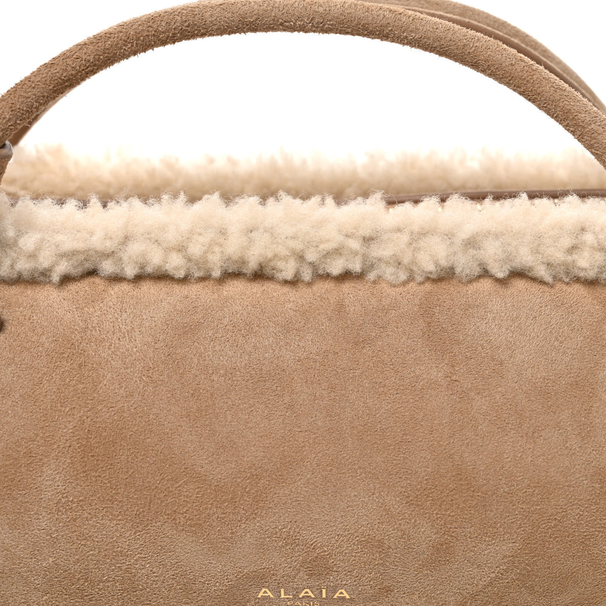 Suede Lambskin Merino Shearling Le Teckel Clutch Camel