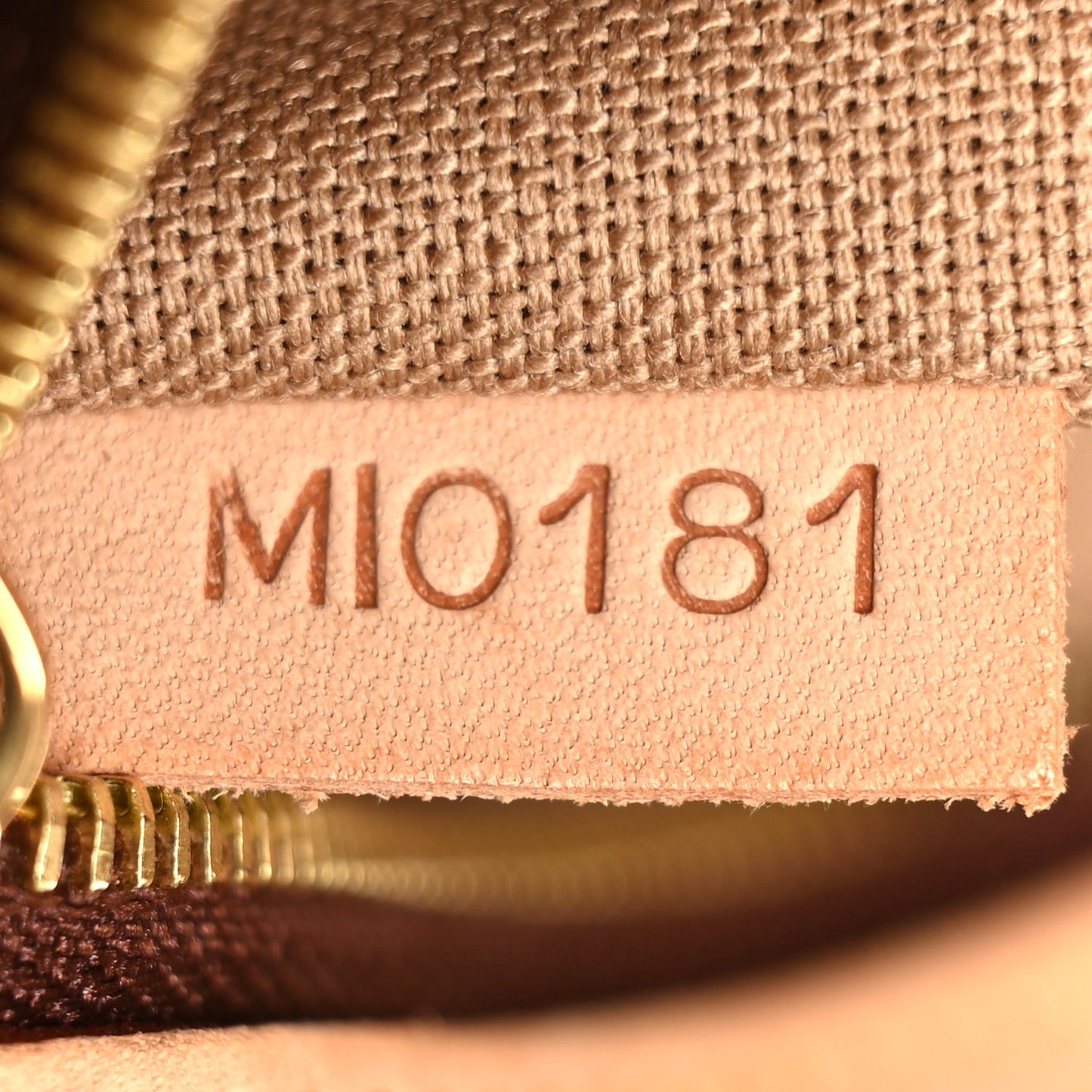 LOUIS VUITTON Monogram Delightful GM