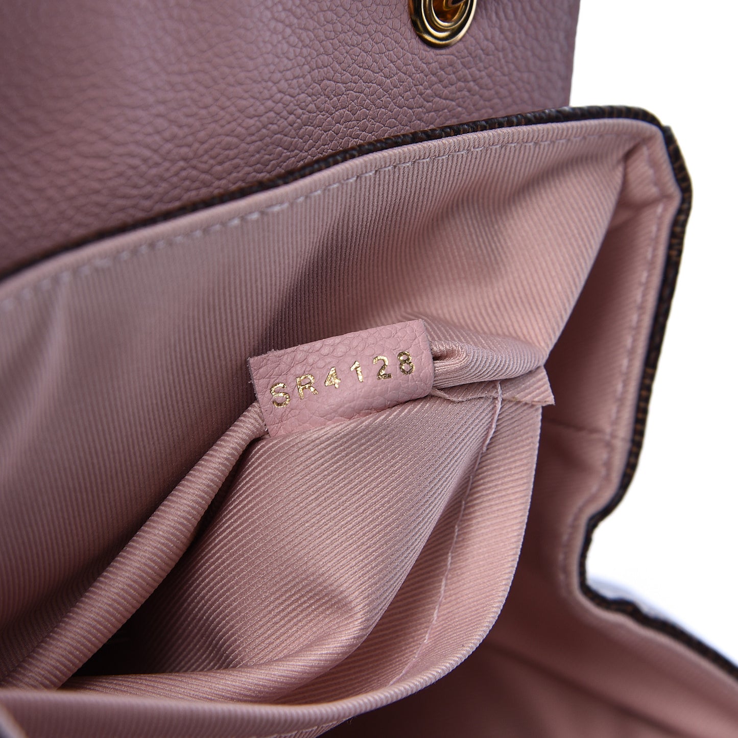 Damier Ebene Clapton Backpack Magnolia