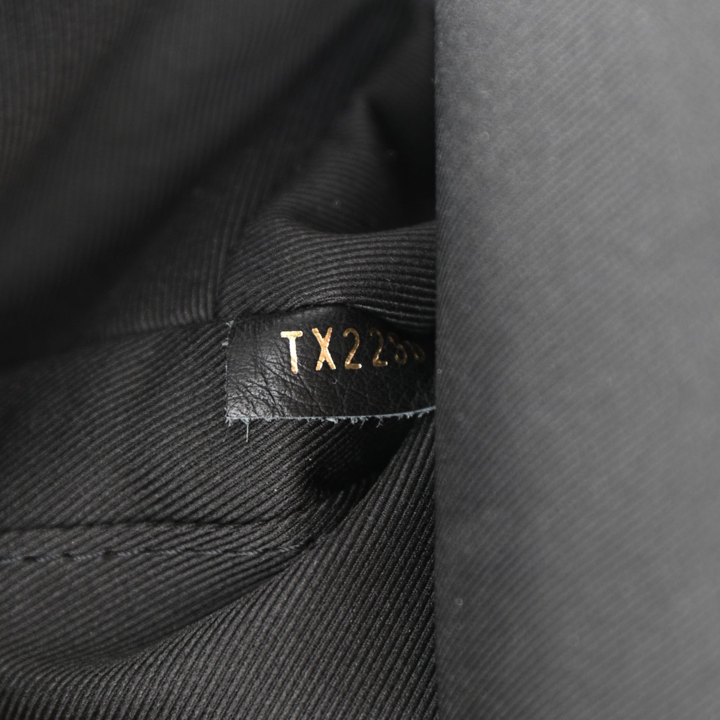Reverse Monogram Palm Springs Backpack Mini