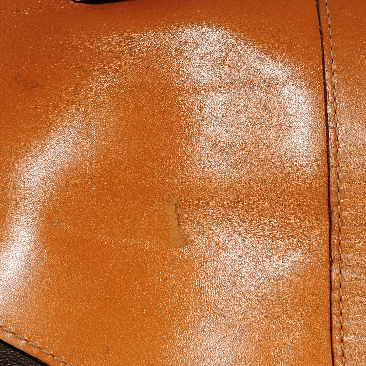 Monogram French Co. Garment Bag