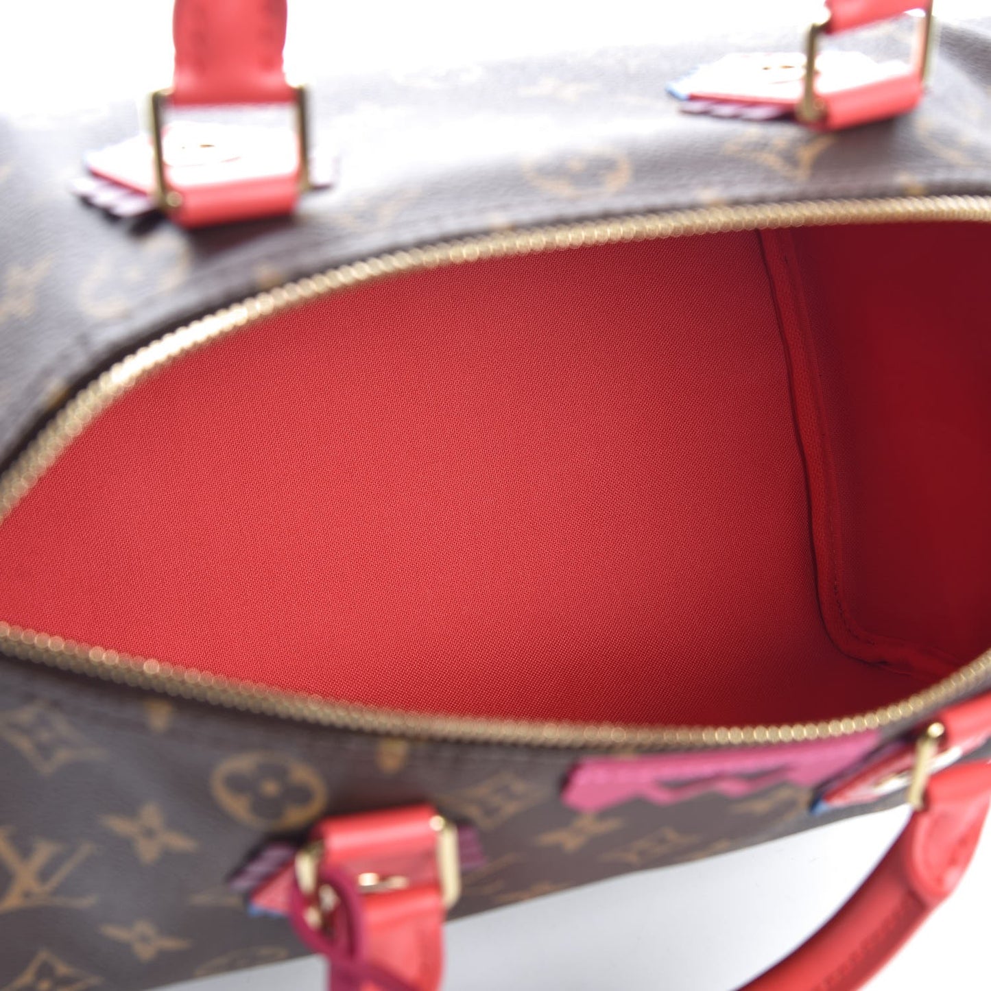 Monogram Totem Speedy 30 Flamingo