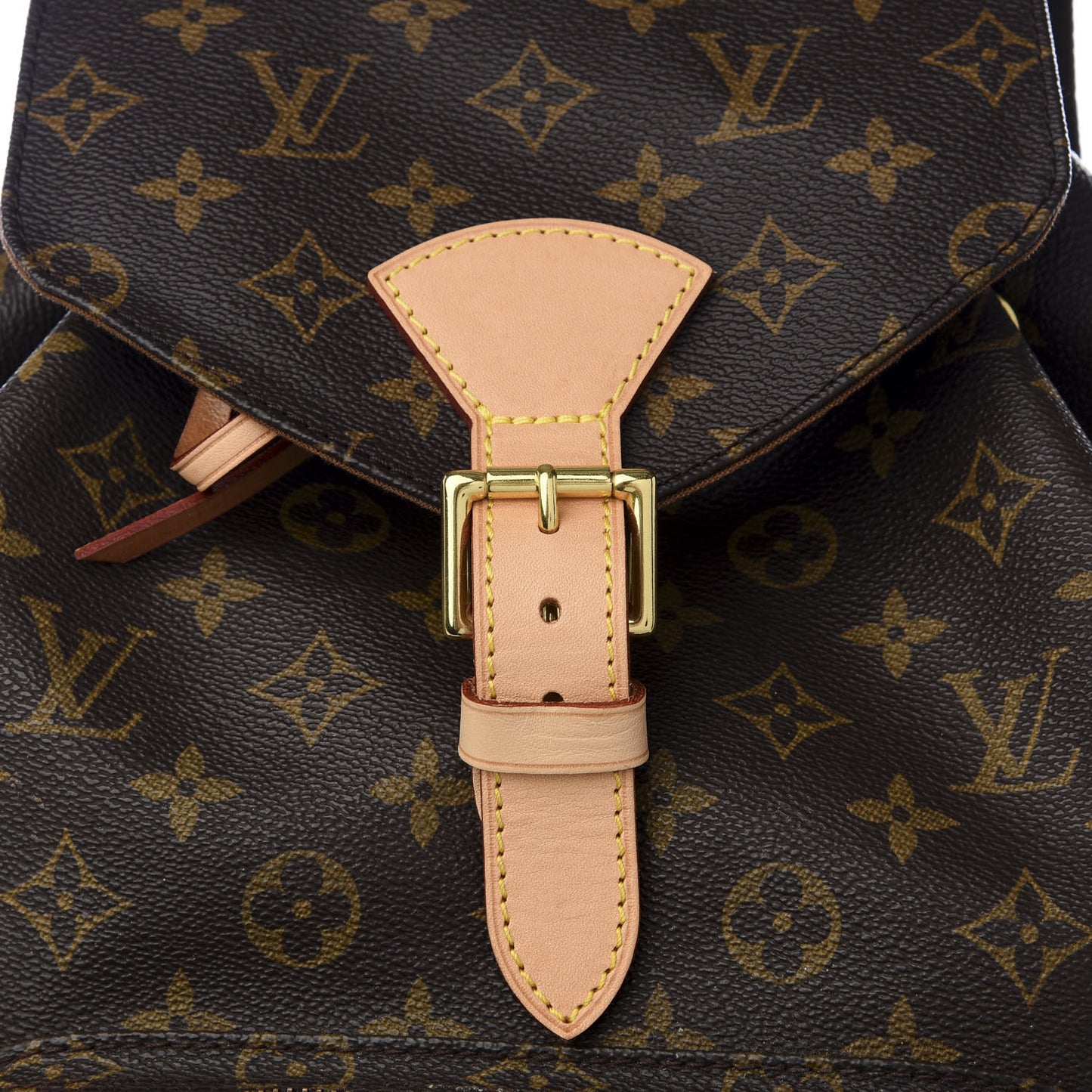 Monogram Montsouris GM Backpack