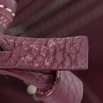 Goyard Goyardine Sac Hardy Pet Carrier PM Burgundy 14 of 15
