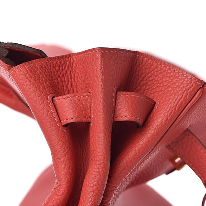 Hermes Togo Birkin 35 Rouge Pivoine 15 of 39
