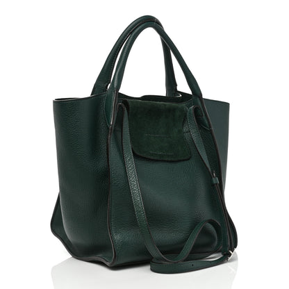 Celine Supple Grained Calfskin Small Big Bag Amazone 3 of 9