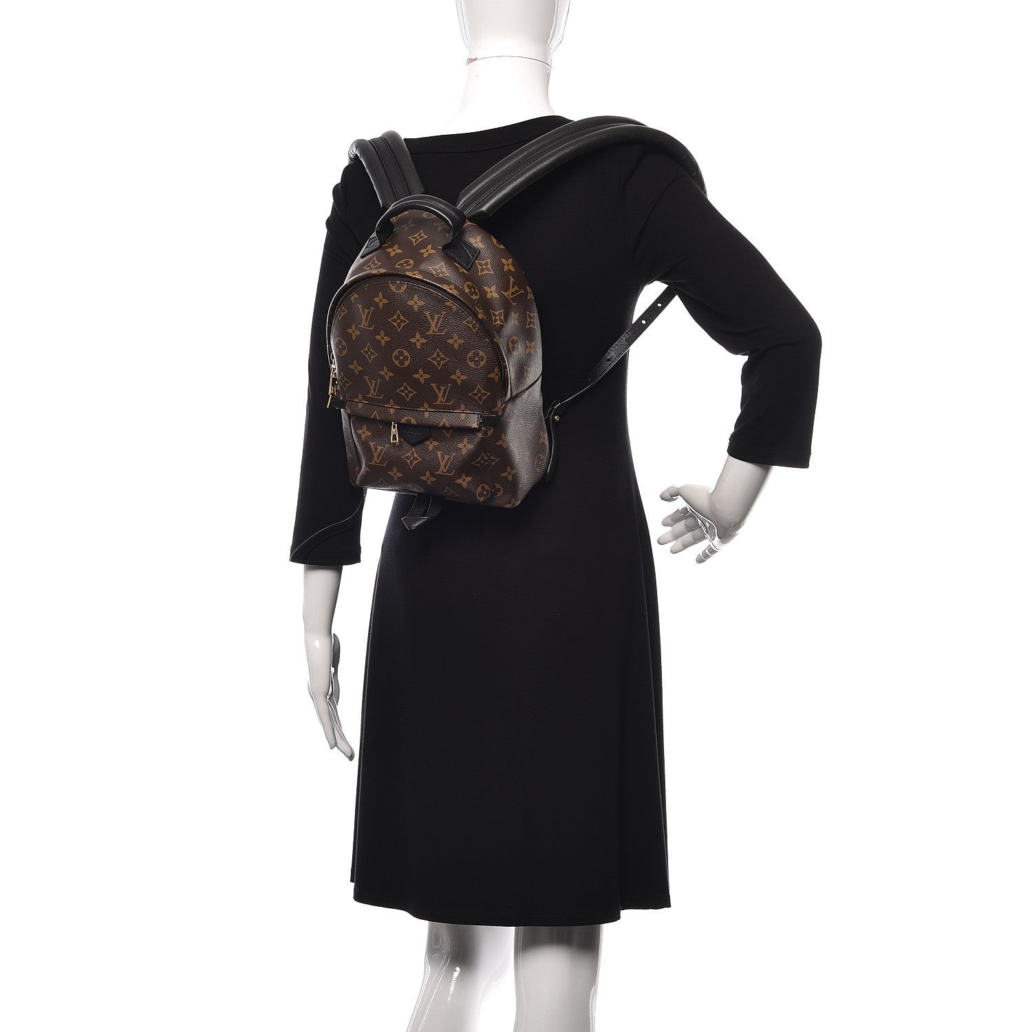 Louis Vuitton Monogram Palm Springs Backpack PM 2 of 10