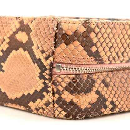 Chanel Snakeskin Mini Shoulder Bag Beige 9 of 13
