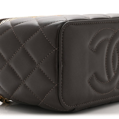 Chanel Lambskin Quilted Small Top Handle Vanity Case With Chain Dark Brown 10 of 11