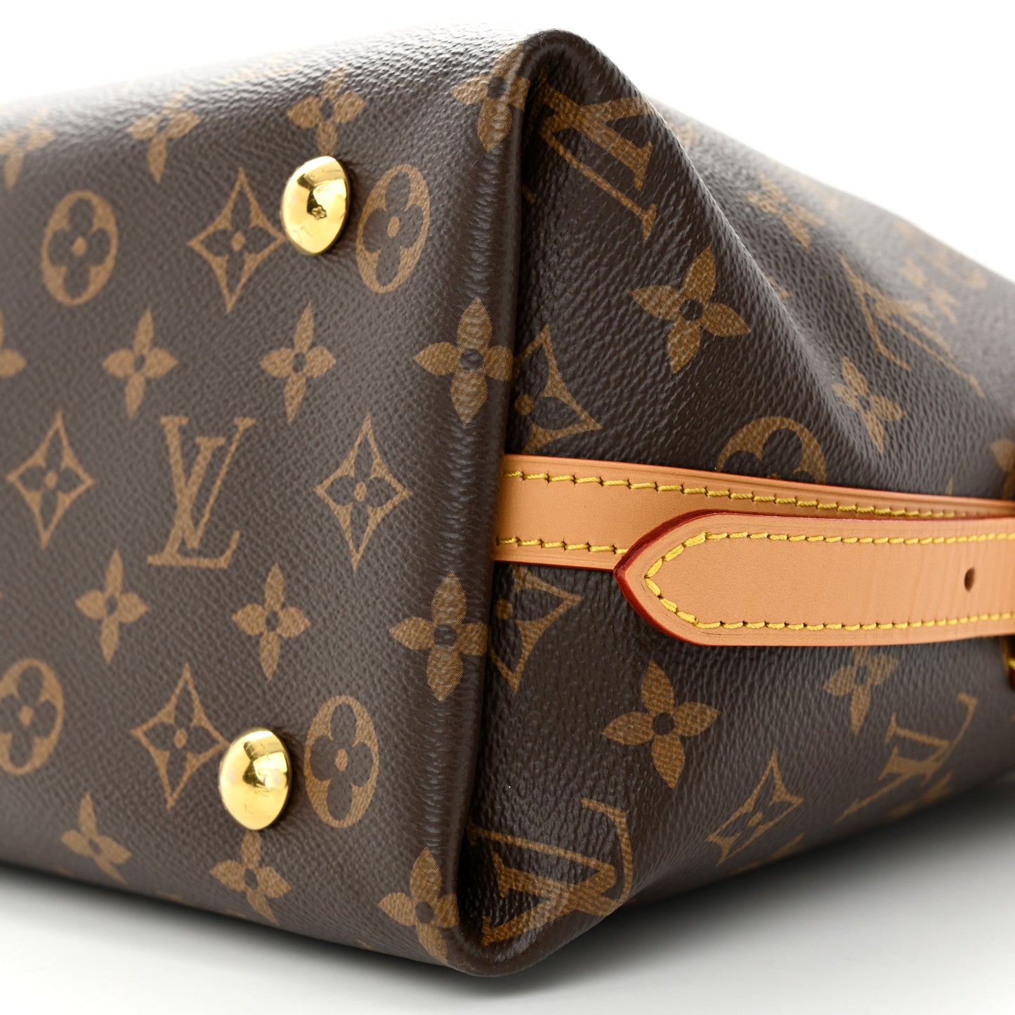 Monogram CarryAll PM