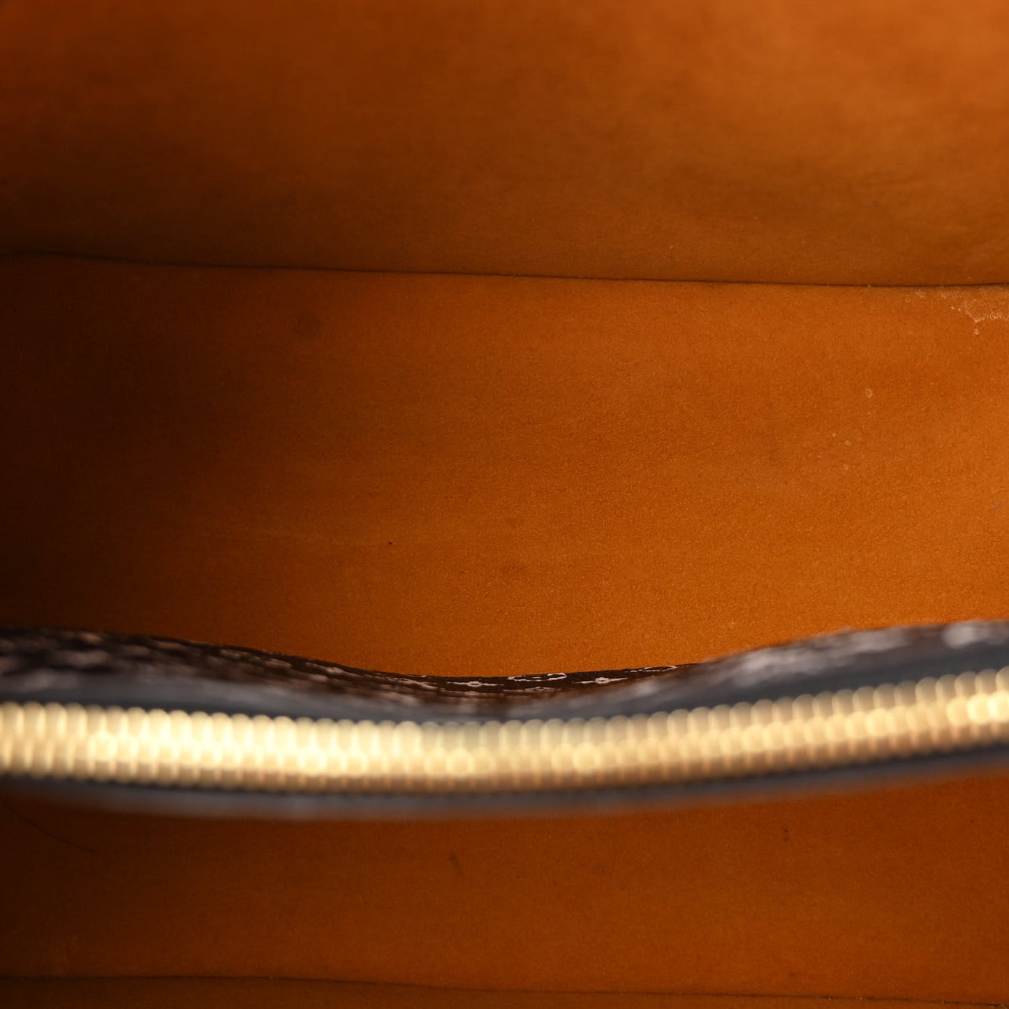 Monogram Giant Jungle NeoNoe Caramel