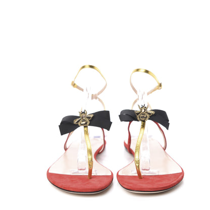 Gucci Calfskin Suede Moody Bee Thong Sandal 41 Gold Red 2 of 11