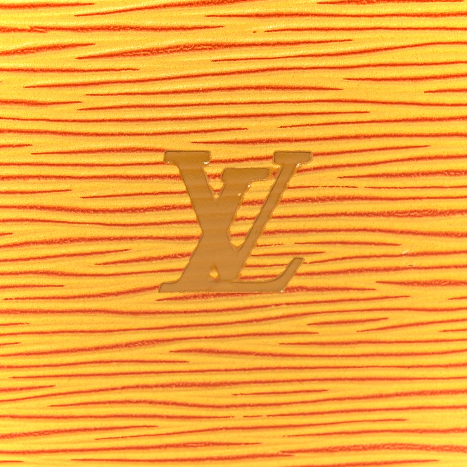 Louis Vuitton Epi Speedy 25 Tassil 8 of 10