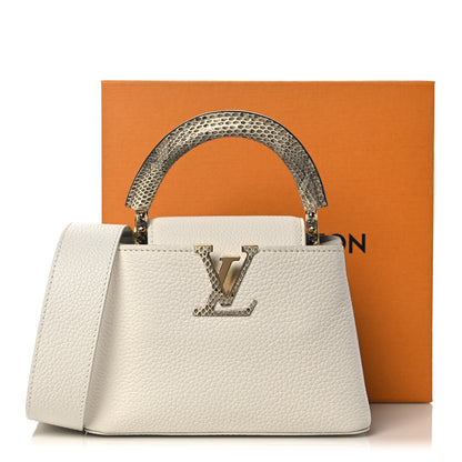 Louis Vuitton Taurillon Ayers Capucines Mini White Snow White 10 of 10